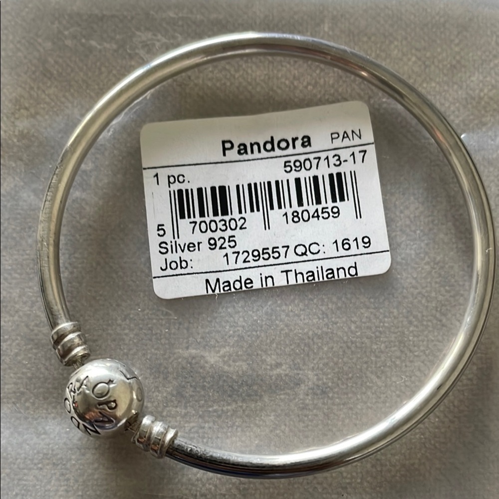 Pandora Silver Charm Bangle Bracelet - small